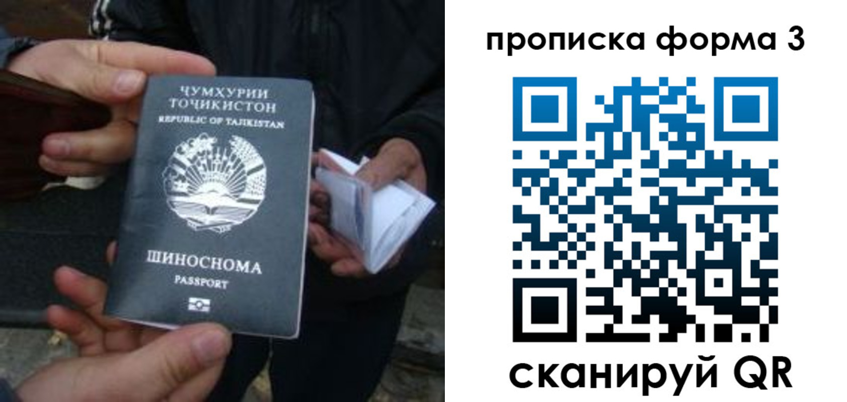прописка 2025 в Александрове